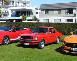 Part of the line up at the VCCNZ Tauranga Daffodil Day run.